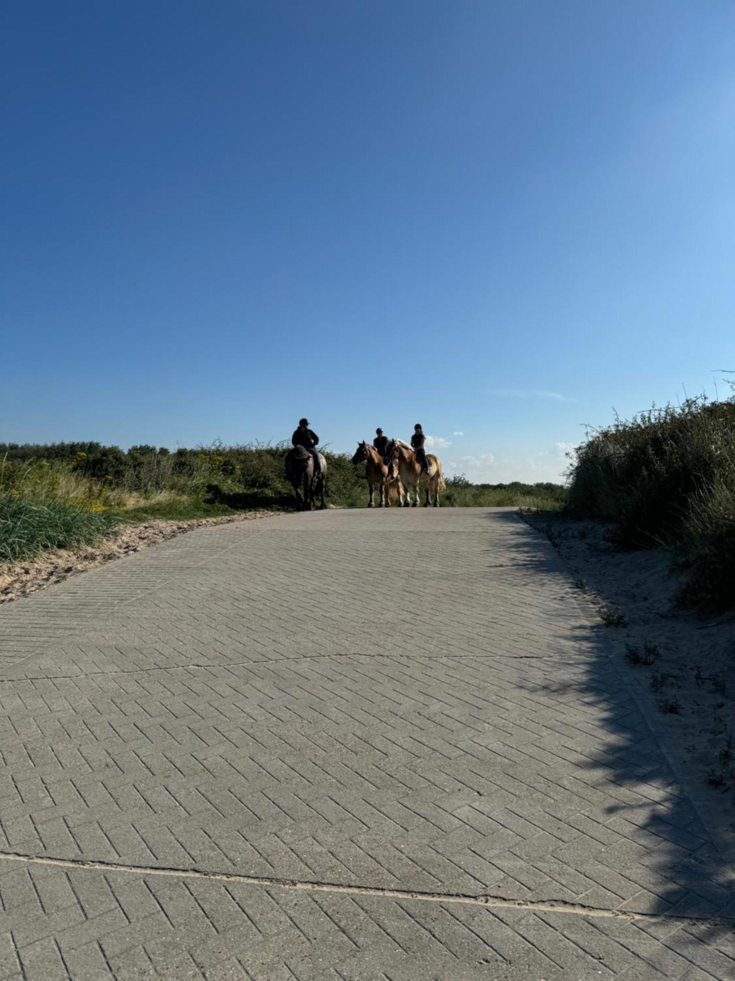 House Hillasol Dishoek Vakantiehuis *