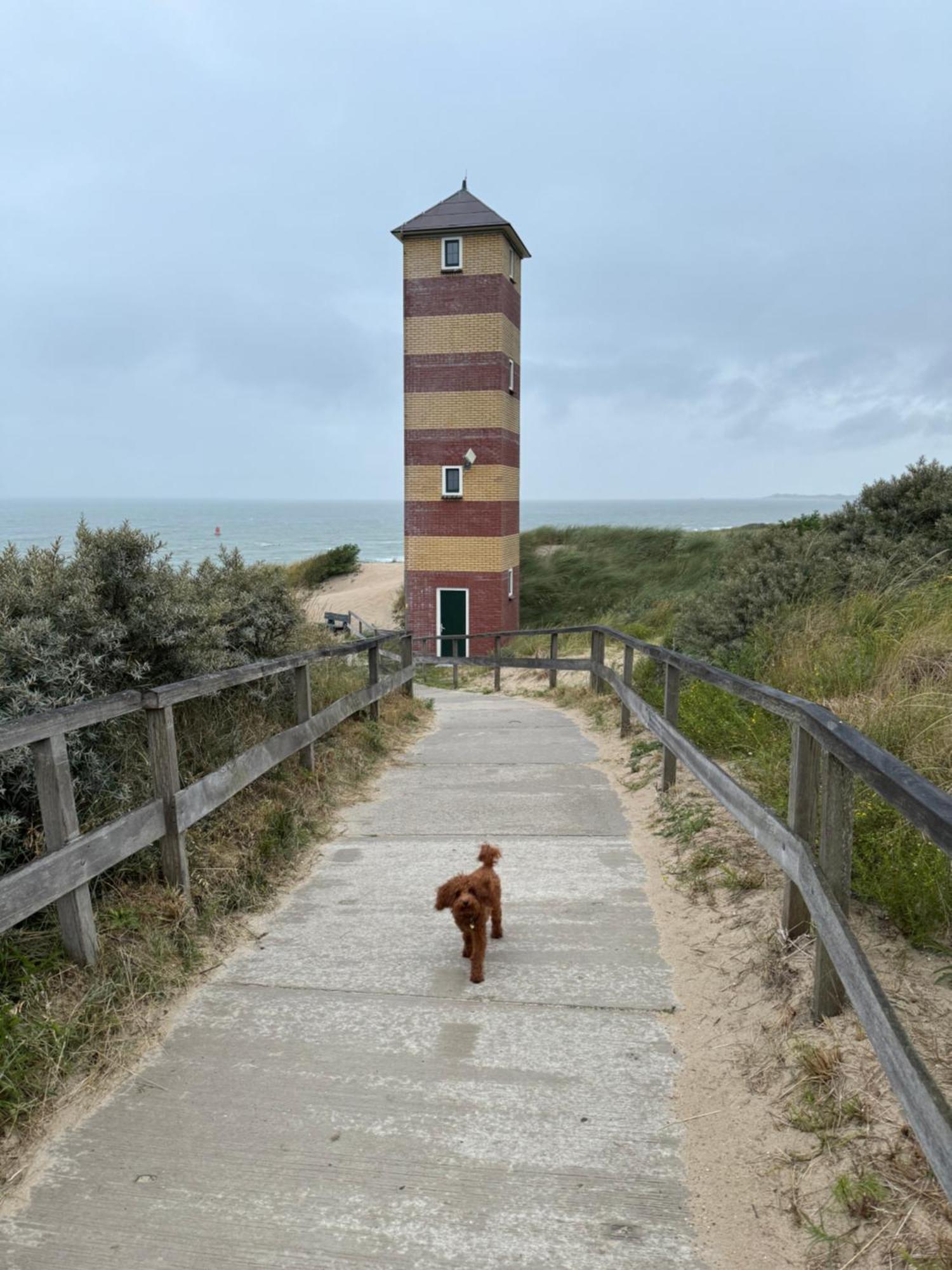 Vakantiehuis House Hillasol Dishoek Koudekerke
